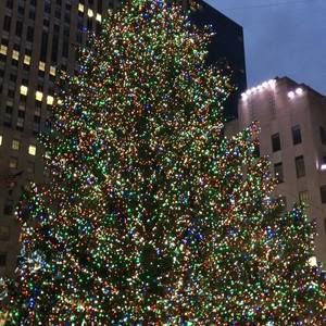 Meet your Posher, Rhonda